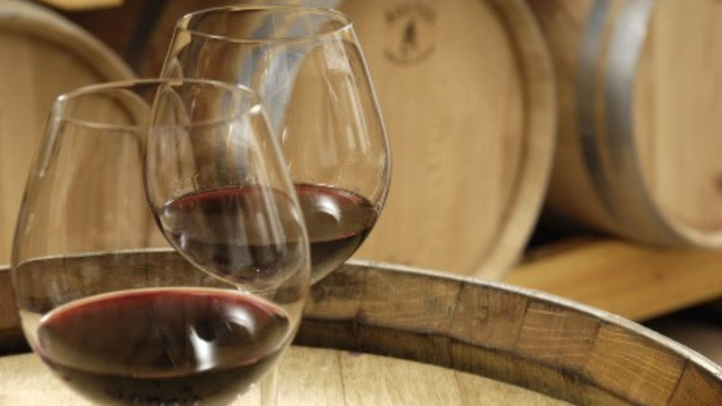 Côte de Provence Wine Tour from Aix-en-Provence - Two winery visits, two sides of Provençal wine