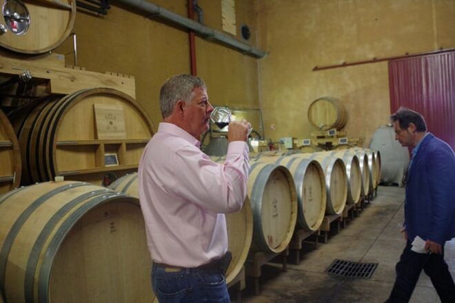 Coteaux D'aix-En-Provence 8-Hour Winery Tour - Highlights of the Winery Tour