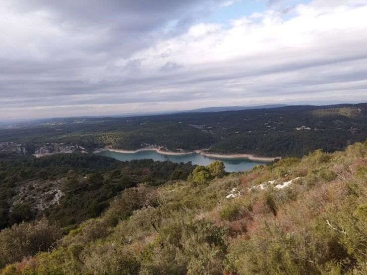 Coteaux D'aix: Ste Victoire Wine Tour & Cezanne Mill Visit - Highlights of the Experience