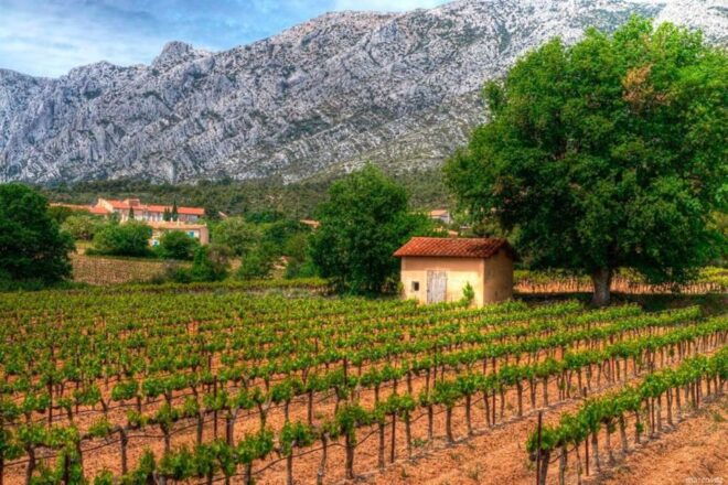 Coteaux D'aix: Ste Victoire Wine Tour & Cezanne Mill Visit - Reserve Now & Pay Later Option