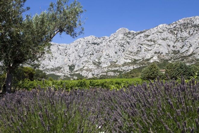 Coteaux D'aix: Ste Victoire Wine Tour & Cezanne Mill Visit - Additional Information and Location Details