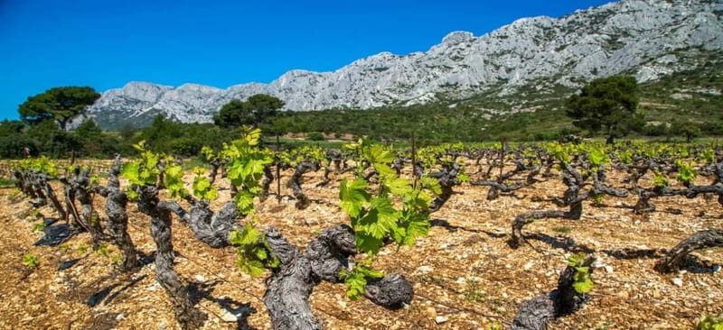 Coteaux d'Aix: Ste Victoire Wine Tour & Cezanne route - The Itinerary in Detail  