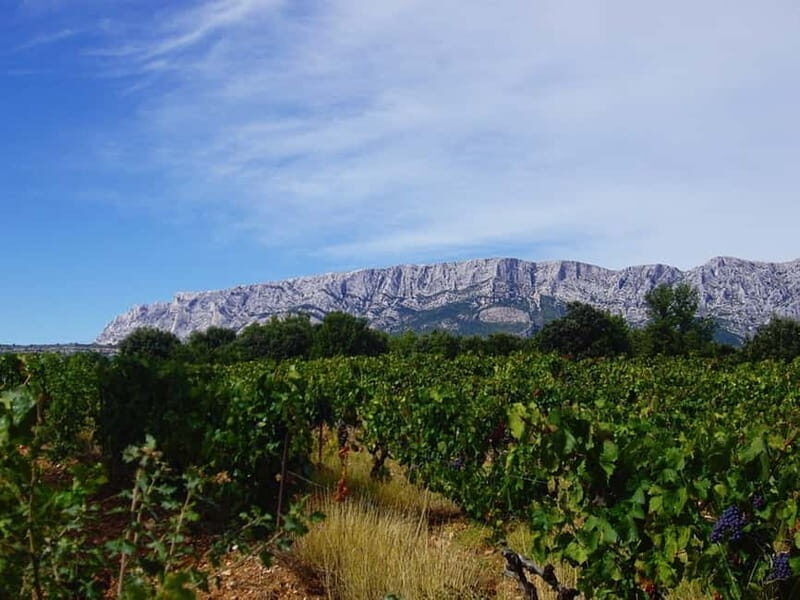 Coteaux d'Aix: Ste Victoire Wine Tour & Cezanne route - FAQ  