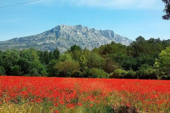 Cotes De Provence Wine Tour From Aix-En-Provence - Lowest Price and Value for Money