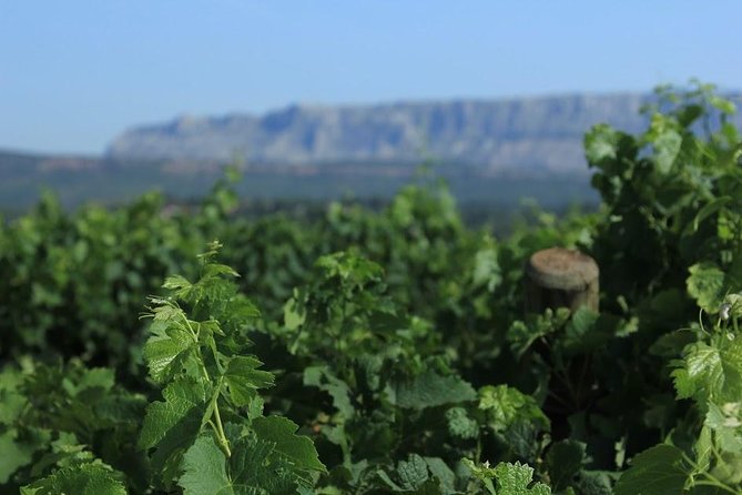 Cotes De Provence Wine Tour From Aix-En-Provence - Tour Overview
