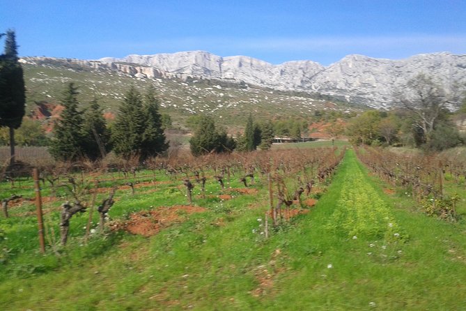 Cotes De Provence Wine Tour From Aix-En-Provence - Traveler Photos and Reviews