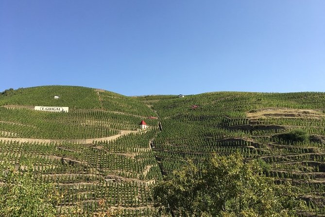 Cotes Du Rhone Wine Tour - Private Tour - Full Day From Lyon - Meeting and Pickup Details