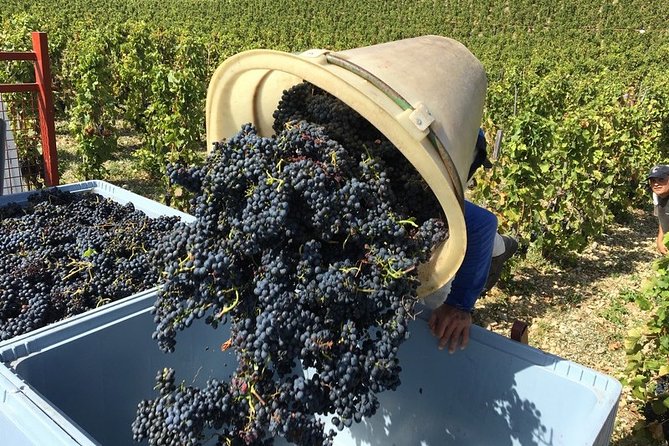 Cotes Du Rhone Wine Tour - Private Tour - Full Day From Lyon - Common Questions