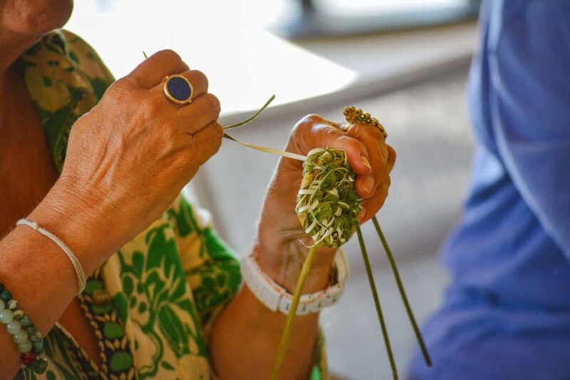 Cotignac: Workshop to discover wild basketry - Practical Information and Tips