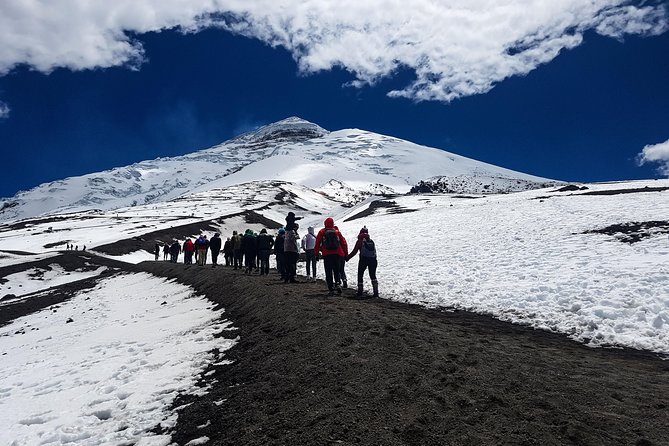 Cotopaxi Full-Day From Quito Including Entrances - Pricing and Booking Details