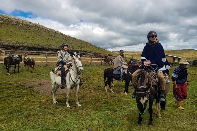 Cotopaxi Horseback Riding Tour - Tour Highlights
