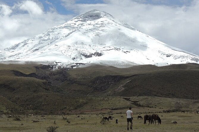 Cotopaxi National Park and Inca Ruins Day Trip - Highlights of the Day Trip