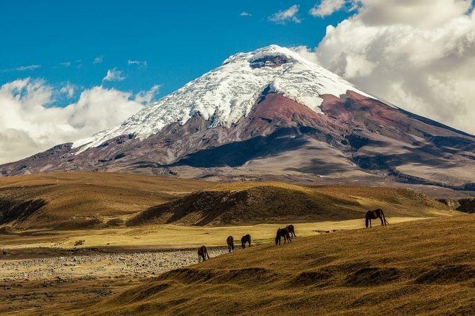 Cotopaxi & Quilotoa 1 Day Adventure! - Pricing and Inclusions
