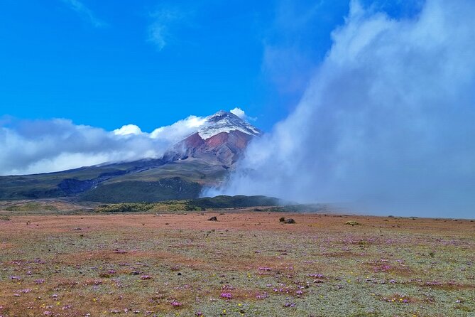 Cotopaxi Volcano Tour: Explore Quito's Natural Wonder - Traveler Reviews