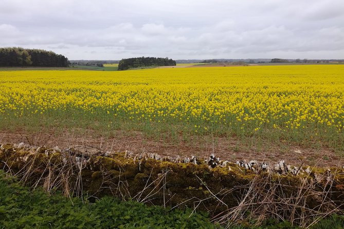 Cotswold and Oxford Private Group Day Tour From Watford - Additional Info