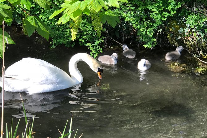 Cotswold Villages and Oxford : Private Driving Tour With an Experienced Guide - Tour Highlights