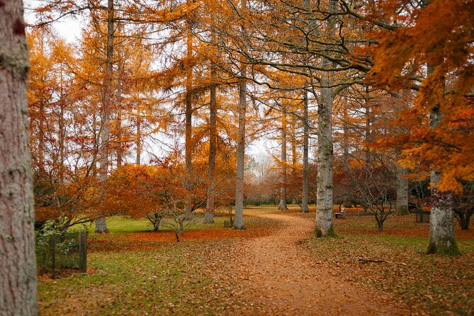 Cotswolds Small-Group Tour: Antiques and Arboretum With Lunch  - Bath - Inclusions