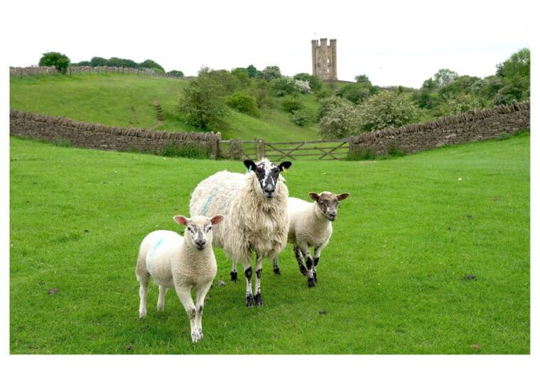 Cotswolds Villages & Countryside: Private Luxury Tour - FAQs