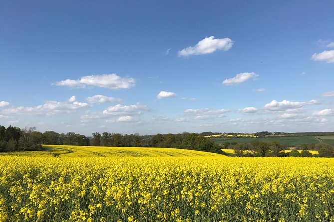 Cotswolds Villages Full-Day Small-Group Tour From Oxford - Customer Reviews