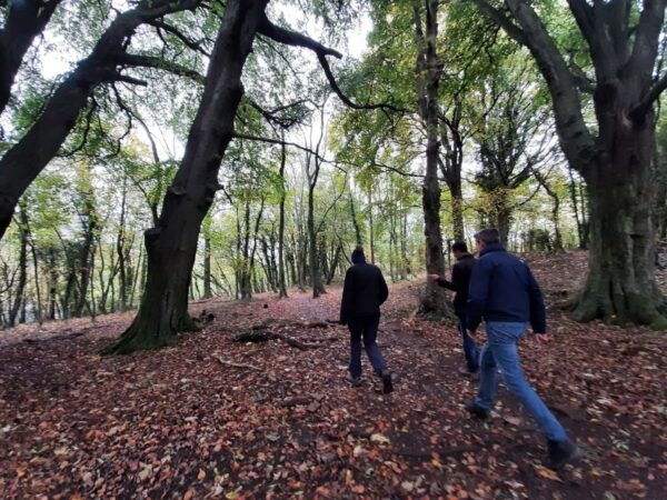 Cotswolds: Walks and Villages Guided Tour - Scenic Countryside Walks