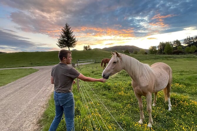 Country Experience at Mohaka River Farm - Farm Activities