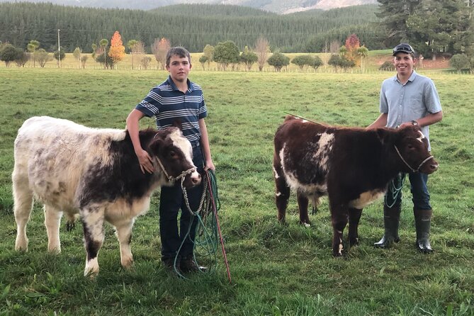 Country Experience at Mohaka River Farm - Accommodation Options