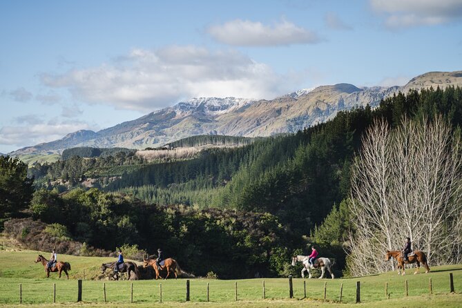 Country Experience at Mohaka River Farm - Cancellation Policy and Assistance