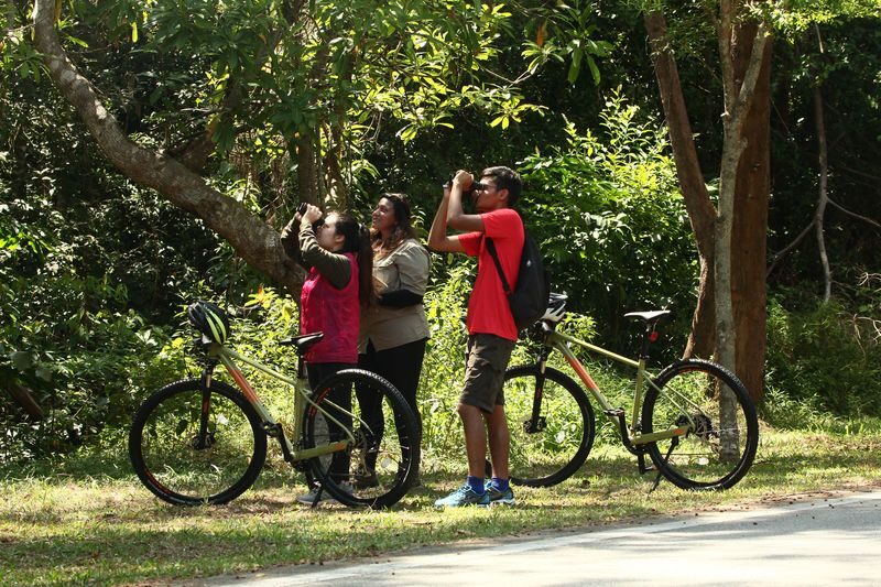 Country Side Biking Tour in Langkawi - Key points before you book