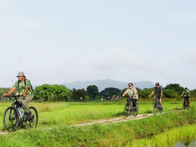 Country Side Biking Tour in Langkawi - What the ride through Langkawi’s countryside feels like