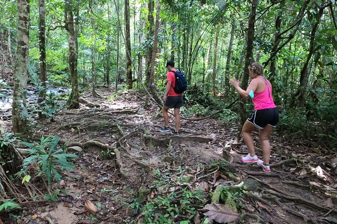 Country Side Cycling and Treking to the Waterfall (Private Tour ) - Waterfall Hike