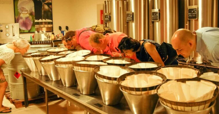 Countryside and Wine Tasting Day Tour - Experience and Activities
