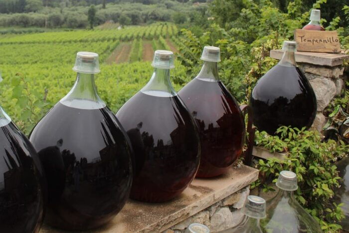 Countryside and Wine Tasting Day Tour - Customer Feedback