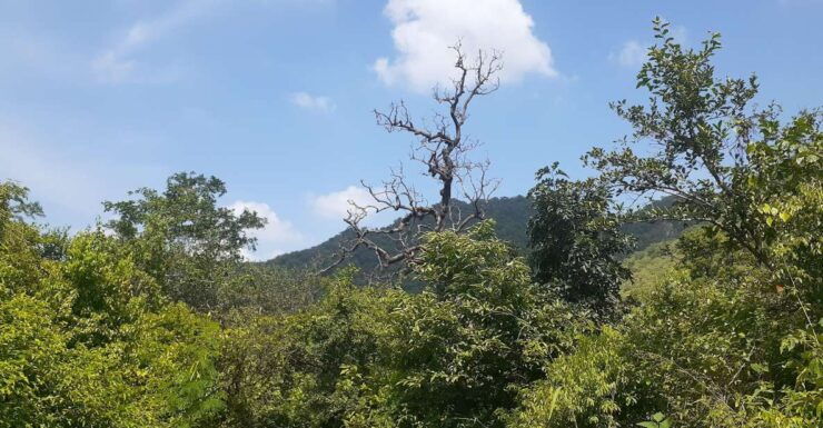 Countryside Arawali Hills Hiking Tour - Good To Know