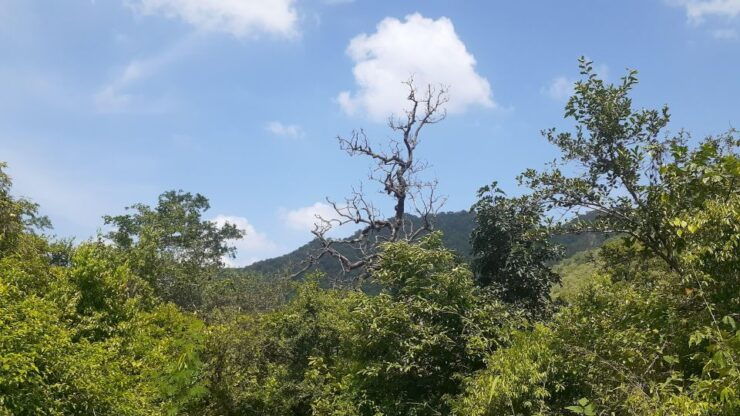 Countryside Arawali Hills Hiking Tour - Tour Name and Pricing