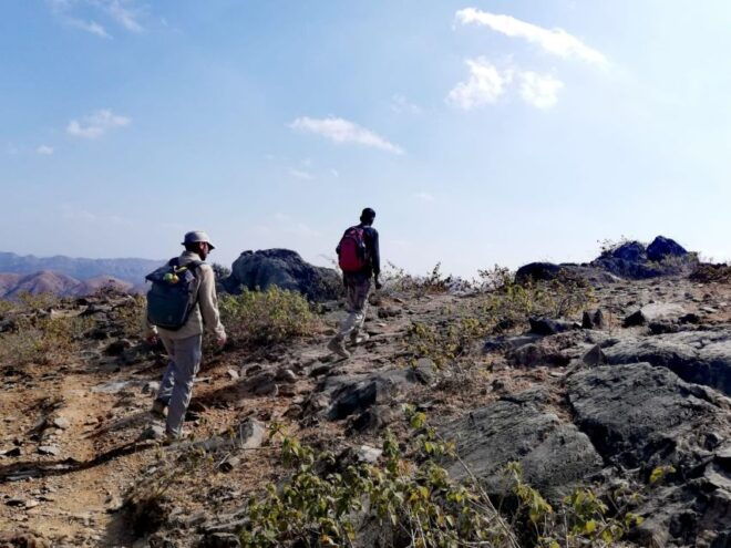 Countryside Arawali Hills Hiking Tour - Language and Pickup Details