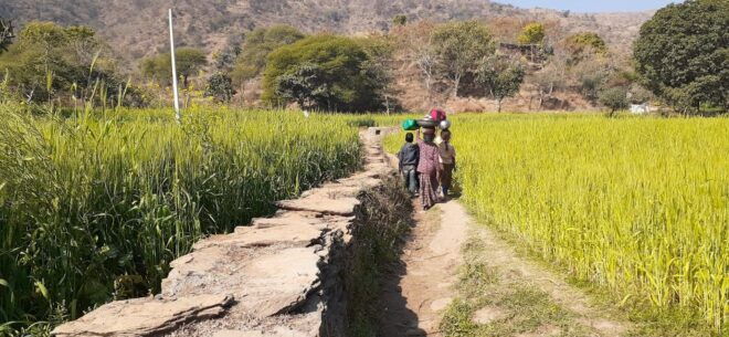 Countryside Arawali Hills Hiking Tour - Cancellation Policy and Reservation