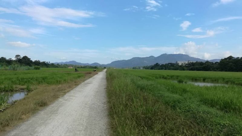 Countryside ATV Ride in Penang Balik Pulau - Let the transfer solve the Balik Pulau leg
