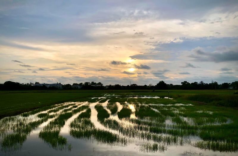 Countryside ATV Ride in Penang Balik Pulau - Should you book the Balik Pulau ATV ride?