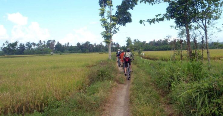 Countryside Bike Ride to Golong Village and Lingsar Temple - Good To Know