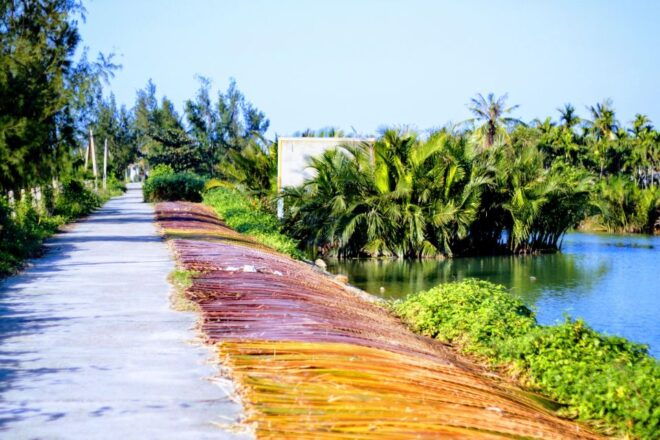 Countryside Bike Tour, Basket Boat and Cooking Class - Activity Details