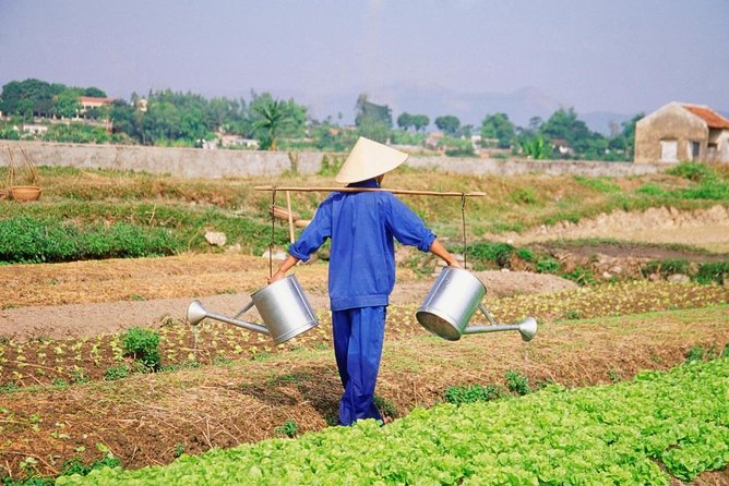 Countryside Bike Tour, Basket Boat and Cooking Class - The Sum Up