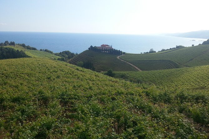 Countryside & Coast Private Tour - Traveler Photos