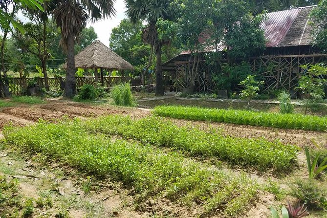 Countryside Cooking Class - Amenities