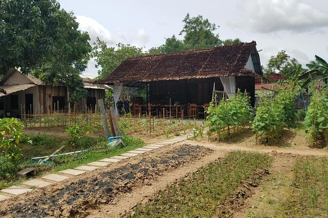 Countryside Cooking Class - Reviews