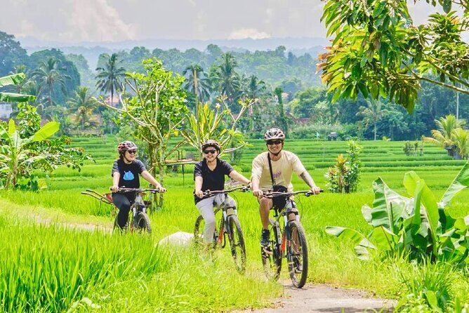 Countryside Cycling Tour From Sigiriya, Dambulla & Habarana - An Authentic Ride Through Sri Lanka’s Countryside: The Sigiriya, Dambulla & Habarana Cycling Tour
