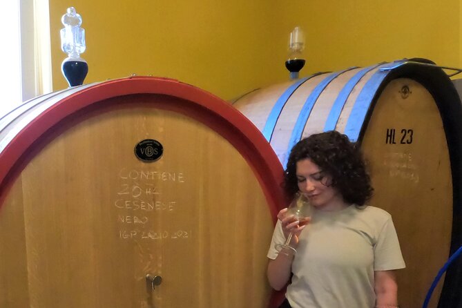 Countryside E-Bike & Vineyard Farm Visit - The Sum Up