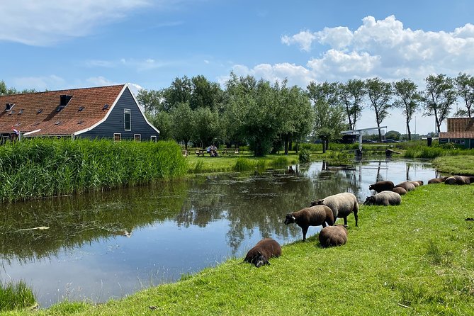 Countryside Electric Bike Tour: Zaanse Schans & Zaandam - Dutch Countryside Experience