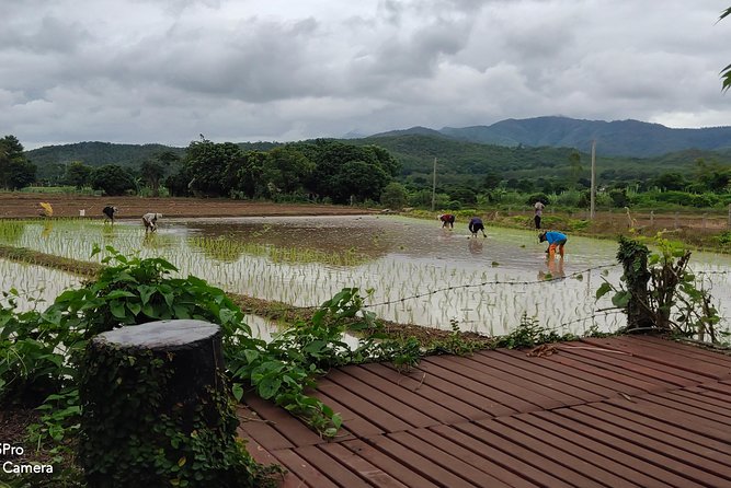 Countryside Experiences: Sticky Falls, Doi Suthep, Cave & Cycling - Homestay Experience: Living Local Life