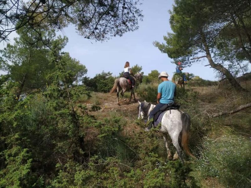Countryside Horseback Ride in Gjinofshat - Good To Know: