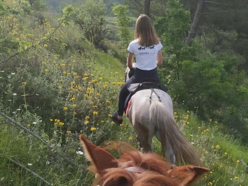 Countryside Horseback Ride in Gjinofshat - FAQs